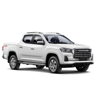 Maxus T60